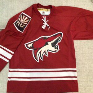 Arizona Coyotes NHL Jersey Youth L/XL Hockey Phoenix